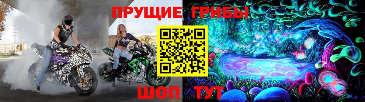 Псилоцибиновые грибы Psilocybe  Вход с VPN  Кировск 